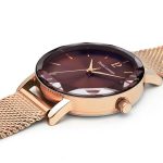 montre femme pierre lannier